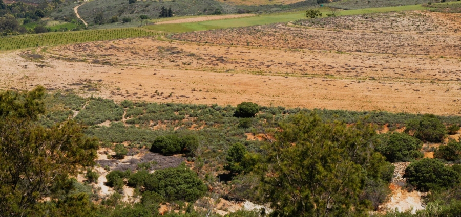 0 Bedroom Property for Sale in Uniondale Rural Western Cape
